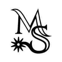 Matt Smith Custom Bit and Spurs