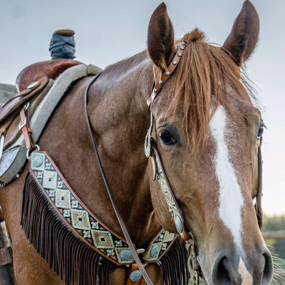 Toolin’ Turquoise Leather Co