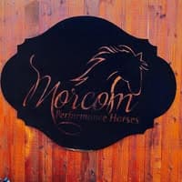 Morcom Performance Horses