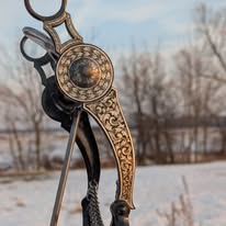 Matt Smith Custom Bit and Spurs