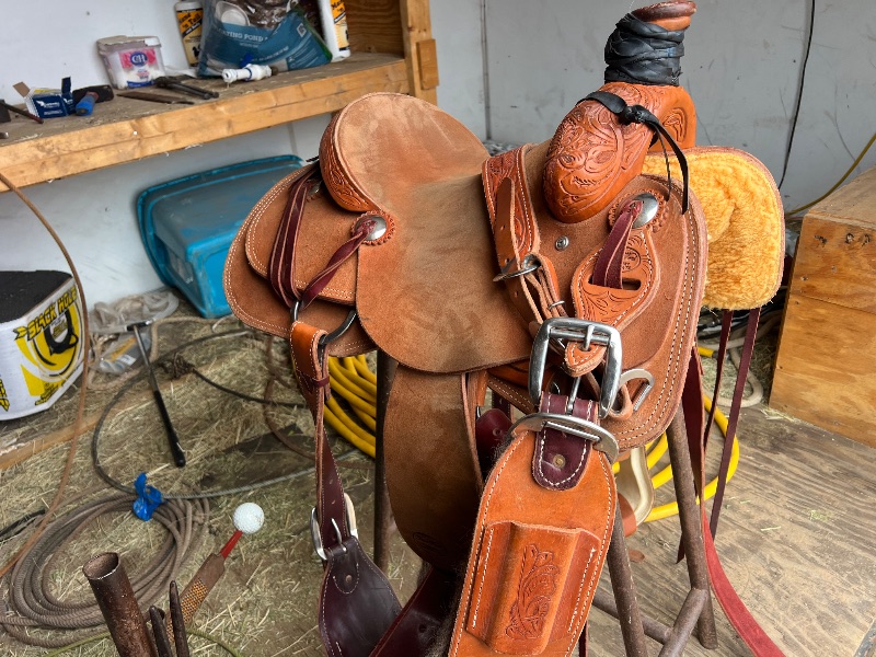 IMG_8534-1776197333576-kxyuq