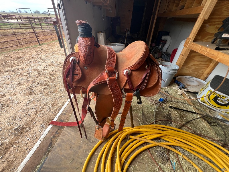 IMG_8537-1776197333576-mjbz1