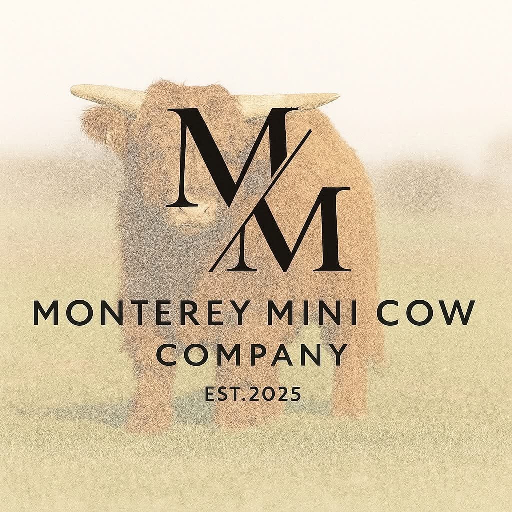 Monterey Mini Cow Company