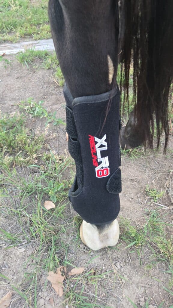 Xlr8 tendon boots