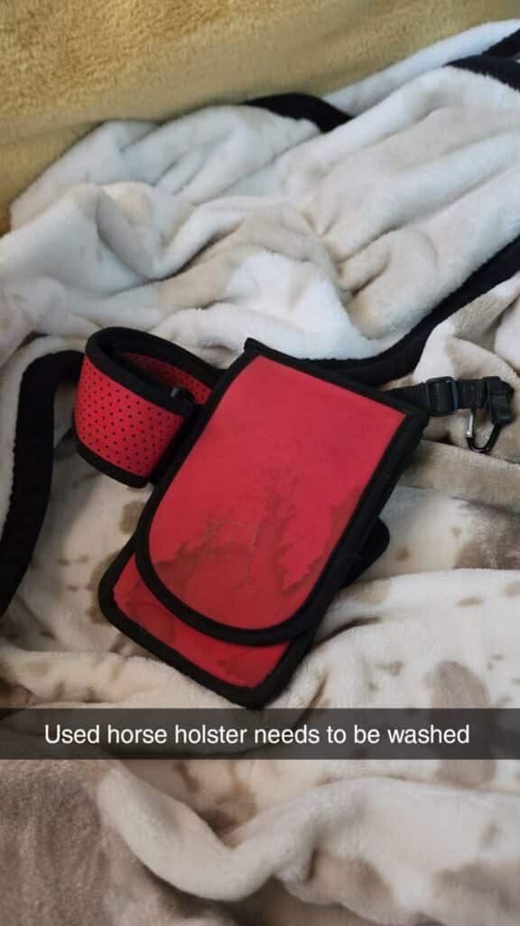 Horse Holster