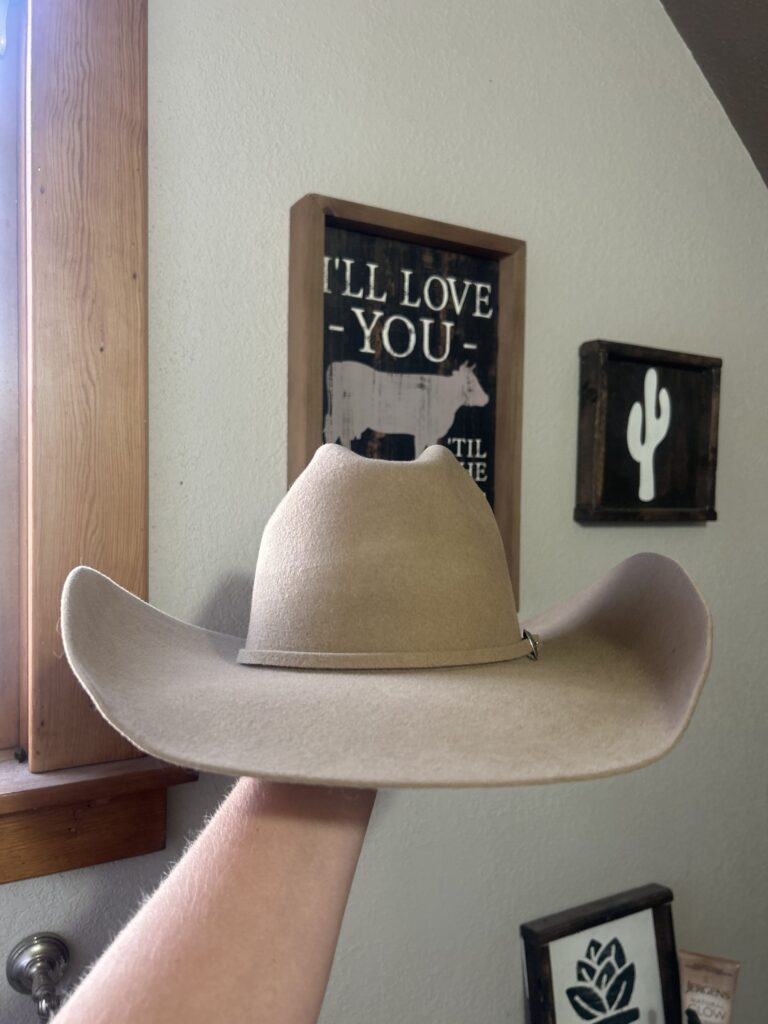 Serratelli Felt Hat, 6 7/8