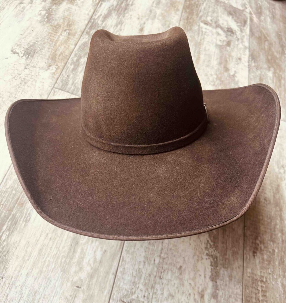 Wrangler_BrownFelt-scaled-1