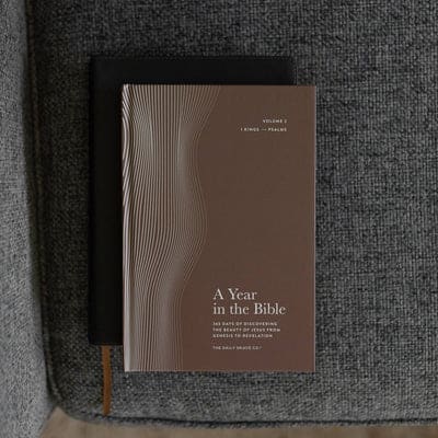 A Year in the Bible | Men’s Study | Volume 2