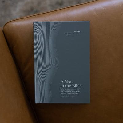 A Year in the Bible | Men’s Study | Volume 3