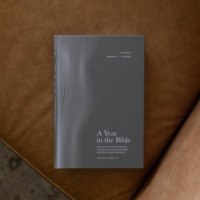 A Year in the Bible | Men’s Study |Volume 1